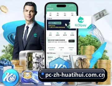 华体育app官网入口 APP