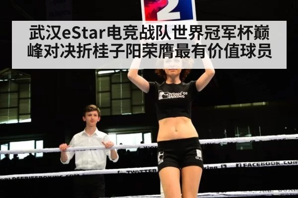 武汉eStar电竞战队世界冠军杯巅峰对决折桂子阳荣膺最有价值球员